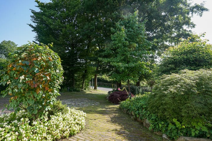 Foto 8 van Rarenderstraat 27