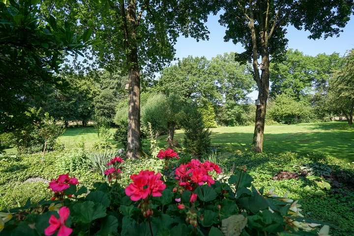 Foto 38 van Rarenderstraat 27