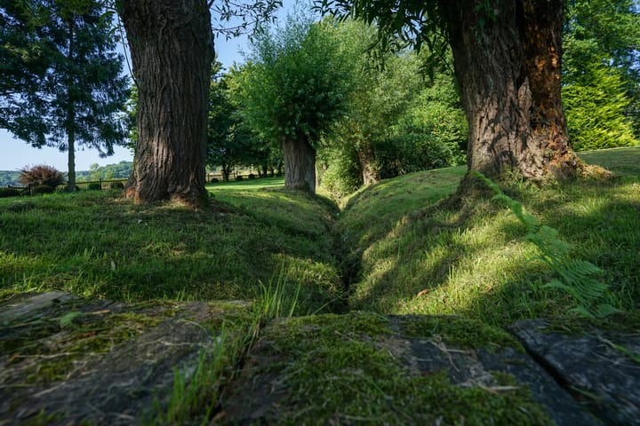 Foto 39 van Rarenderstraat 27