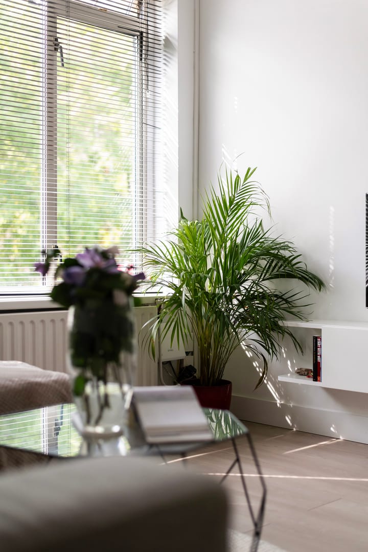 Foto 10 van Hoogstraat 97-C