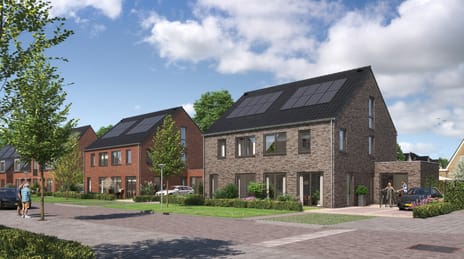 Groenhof Breezand 2025 main image