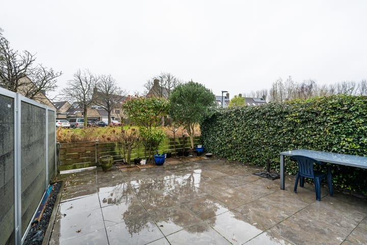 Foto 24 van Rivierforel 3