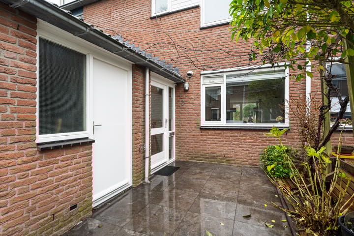 Foto 27 van Rivierforel 3