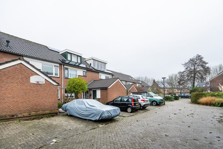 Foto 28 van Rivierforel 3