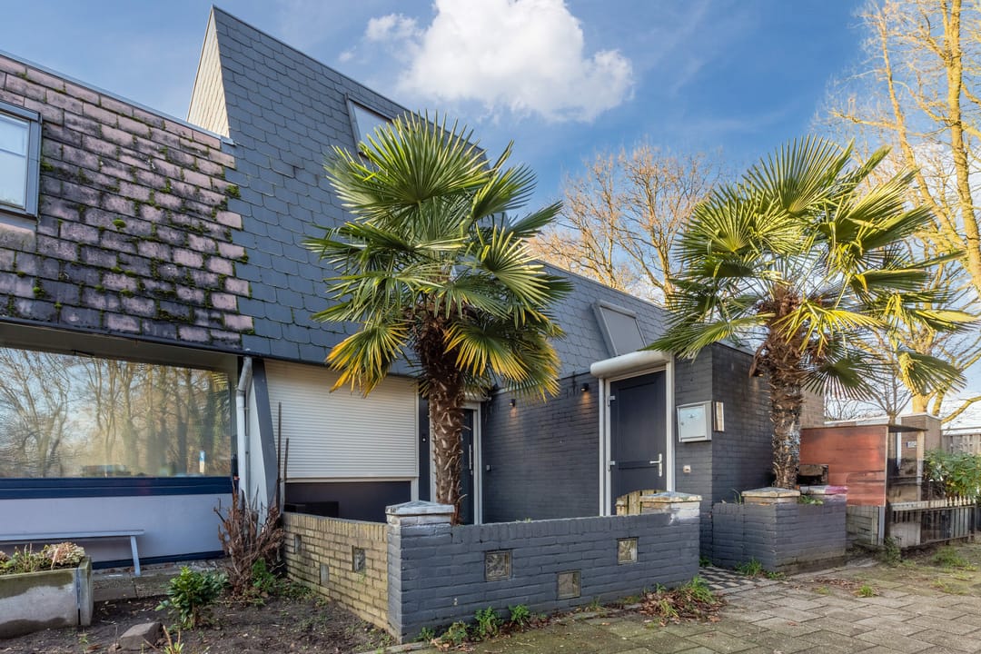 Foto 1 van Zwanenveld 3263