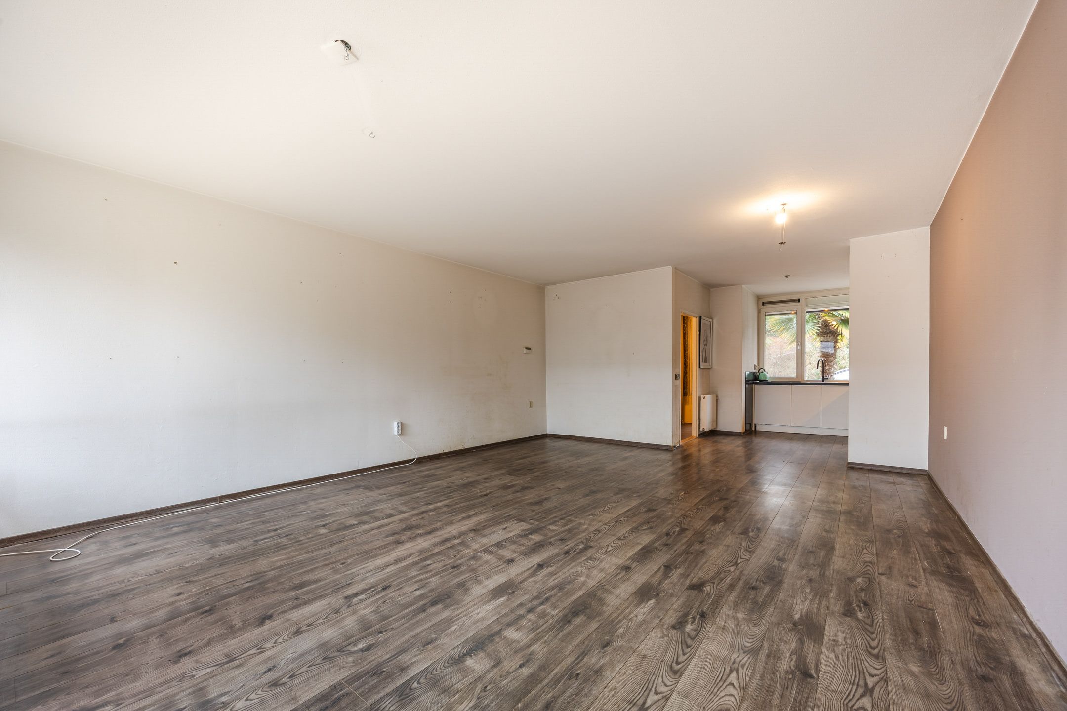 Foto 3 van Zwanenveld 3263