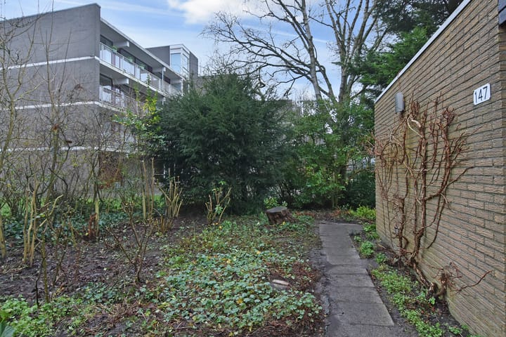 Foto 16 van Distelweide 147