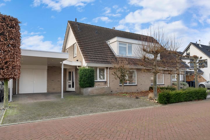 Foto 1 van Havikskruid 5