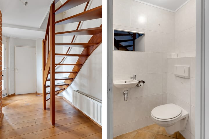 Foto 11 van Havikskruid 5