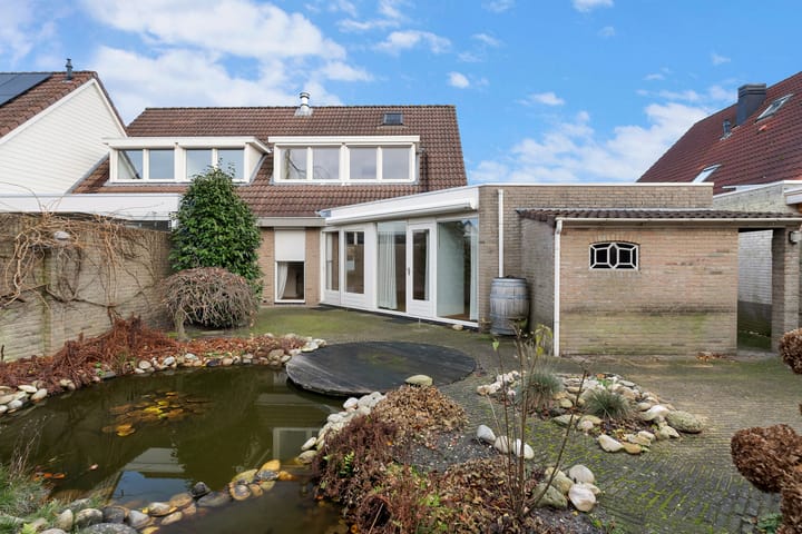 Foto 20 van Havikskruid 5