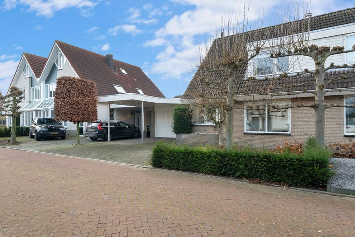 Foto 25 van Havikskruid 5