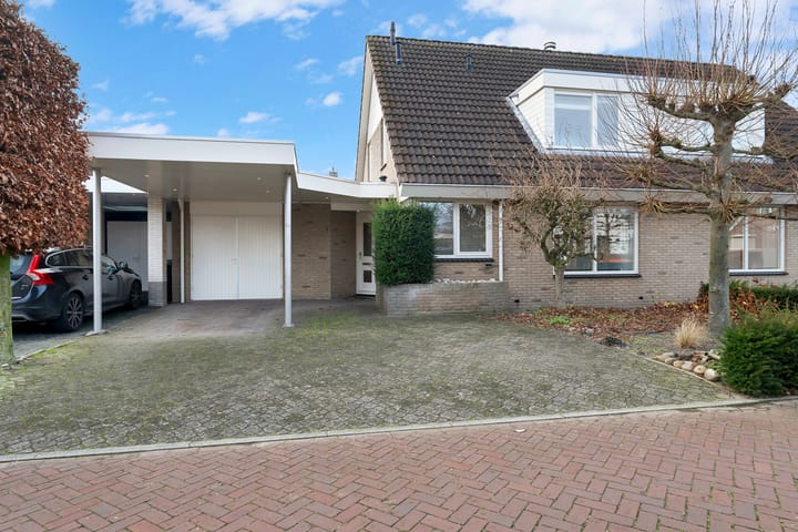 Foto 26 van Havikskruid 5