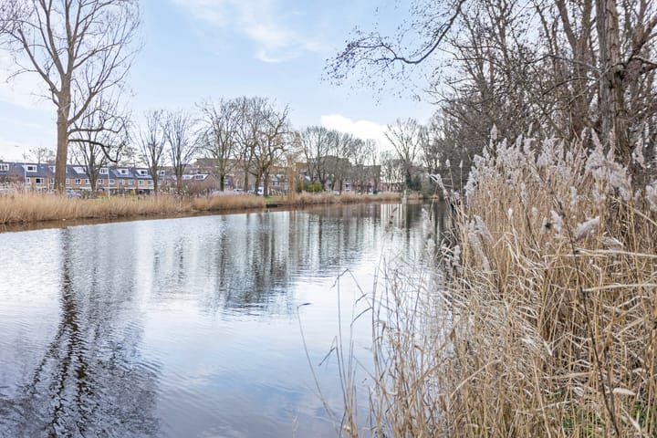 Foto 59 van Laan der Vrijheid 13