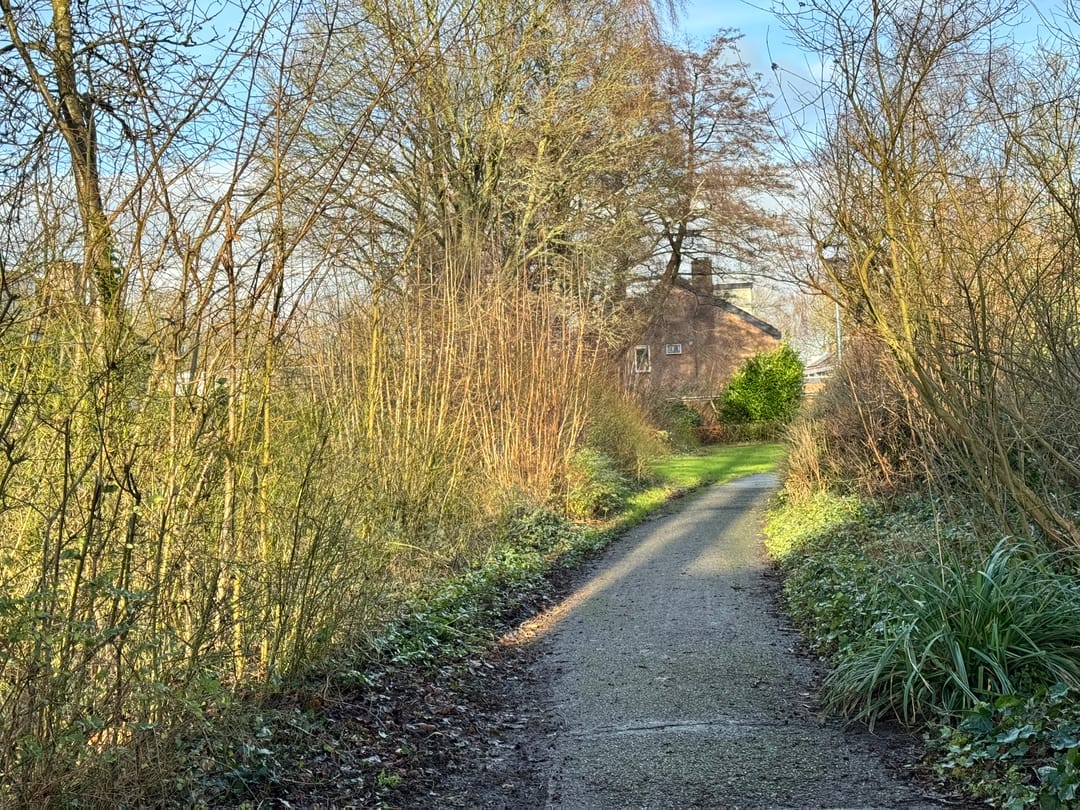 Foto 32 van Schoutsplaats 45