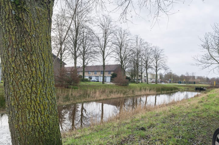 Foto 41 van Saskiadonk 8