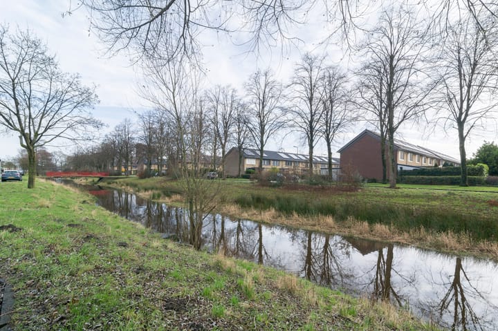 Foto 42 van Saskiadonk 8