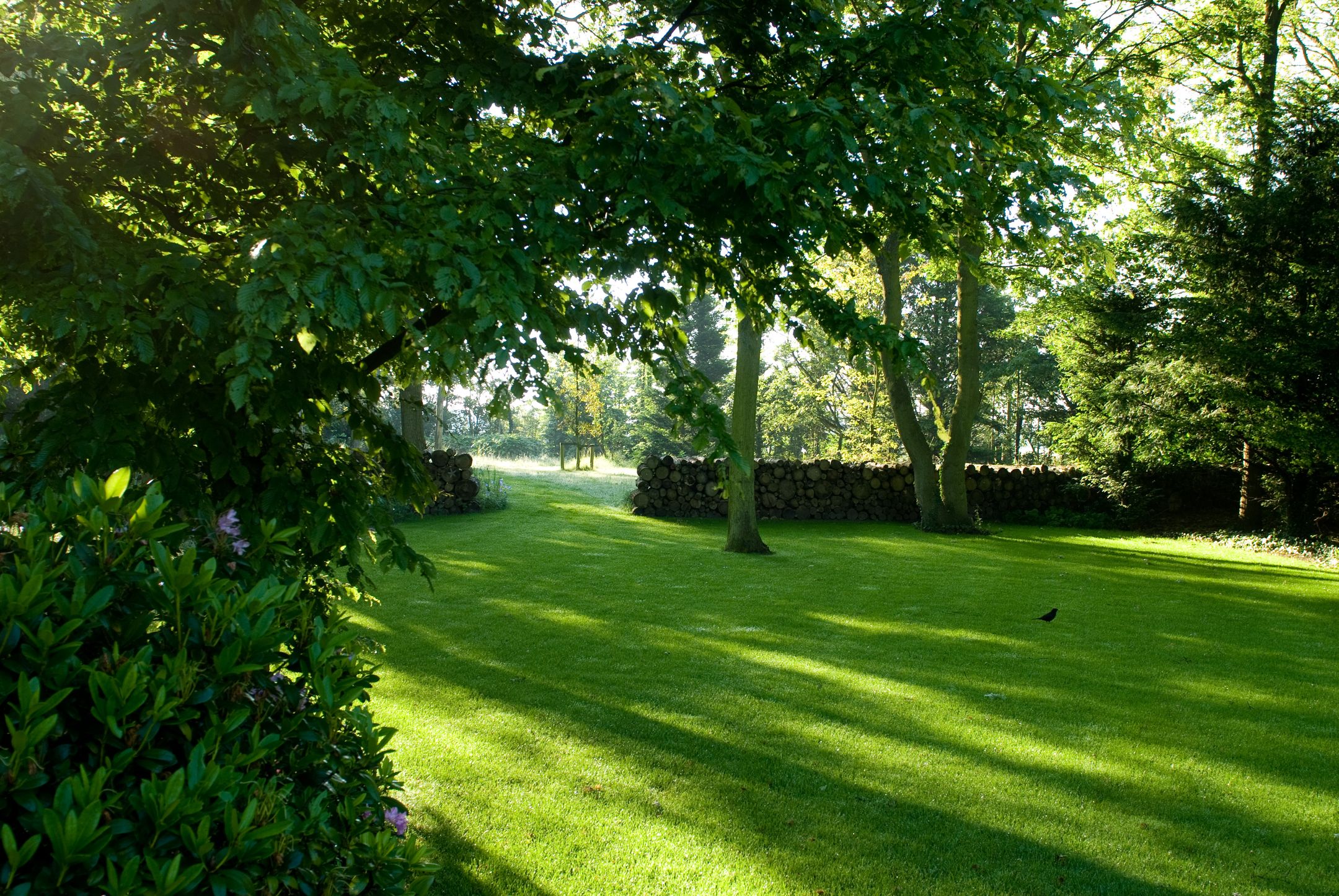 Foto 51 van Gooweg 14