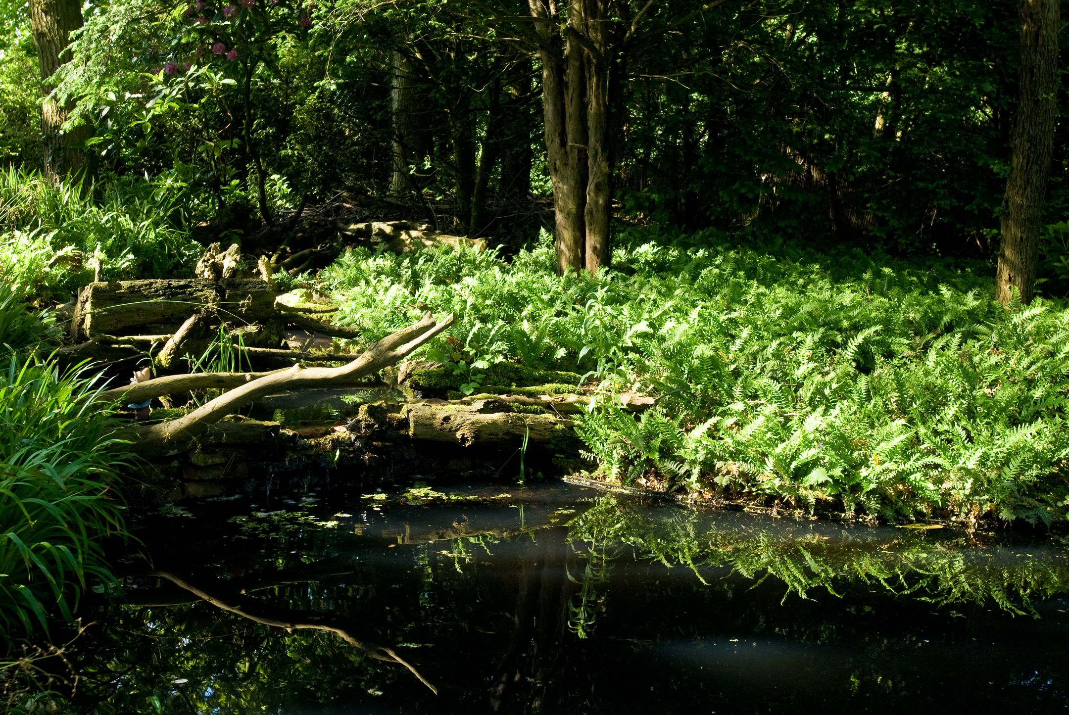 Foto 57 van Gooweg 14