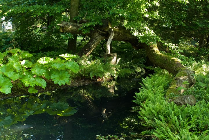 Foto 58 van Gooweg 14