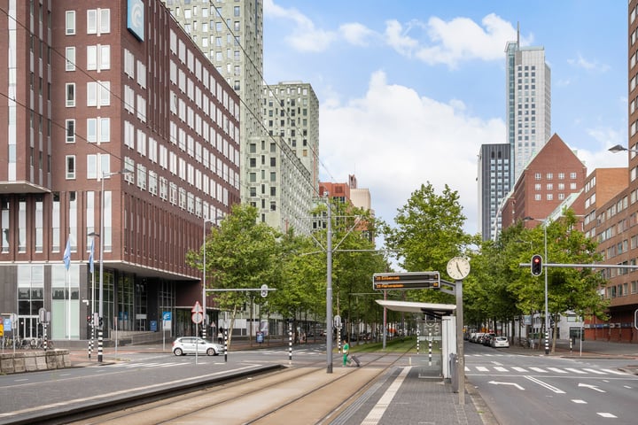 Bekijk foto 41 van Laan op Zuid 612