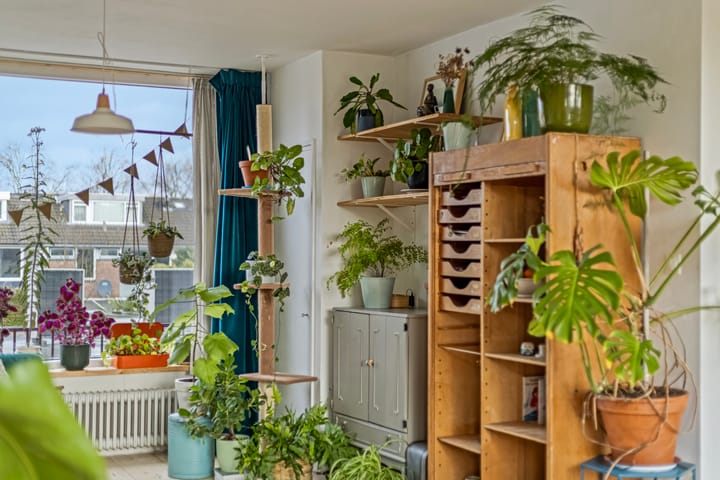 Foto 10 van Maaseikstraat 8-A