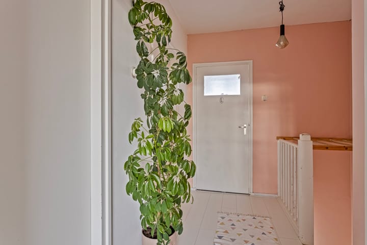 Foto 20 van Maaseikstraat 8-A