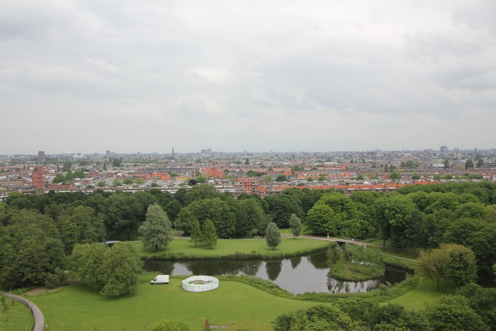 Bekijk foto 20 van Staalmeesterslaan 239