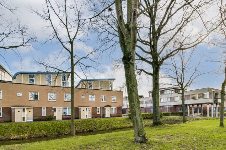 Foto 4 van Ibrahim Moustafapad 14