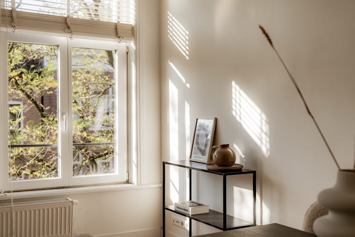 Foto 4 van Da Costastraat 101-3