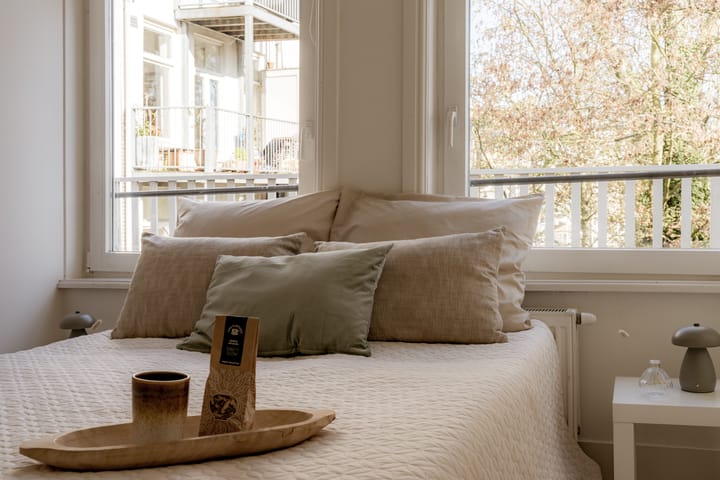 Foto 13 van Da Costastraat 101-3