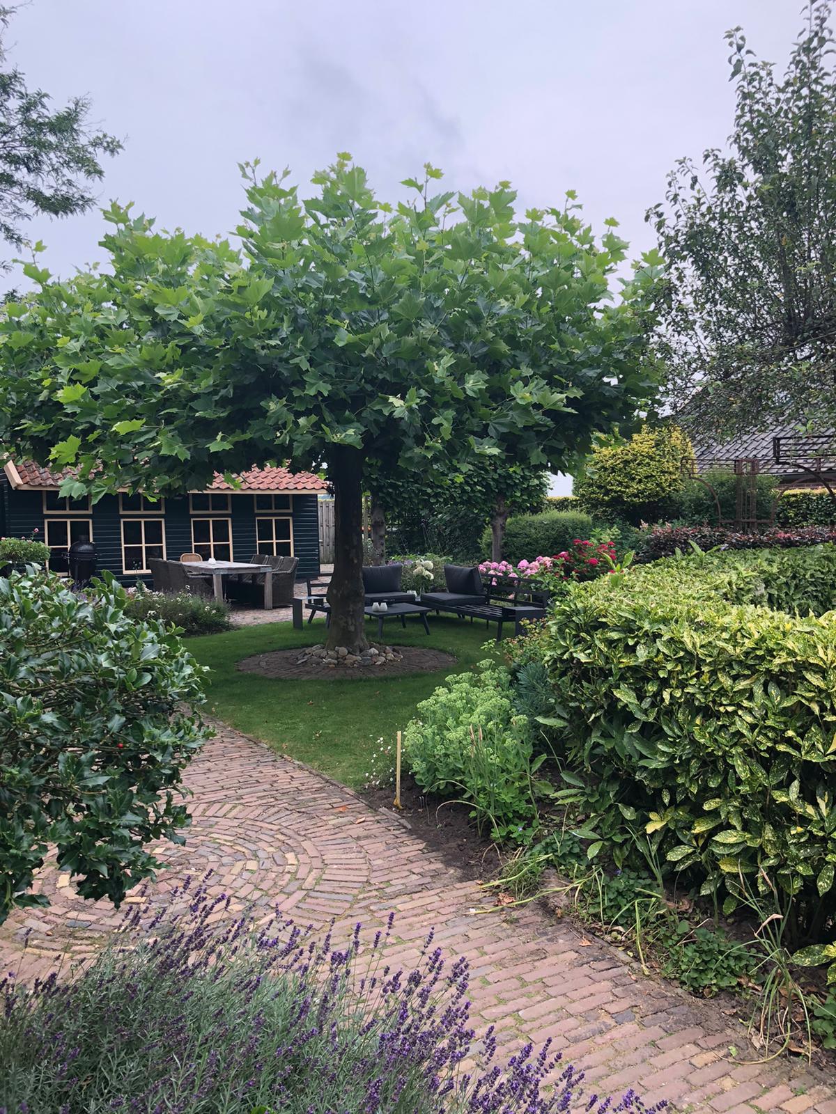 Foto 42 van 't Hof 2