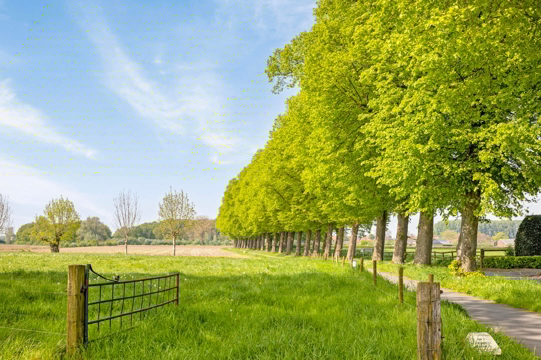 Foto 53 van 't Hof 2