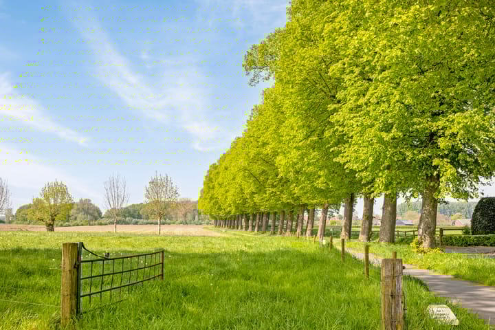 Foto 53 van 't Hof 2