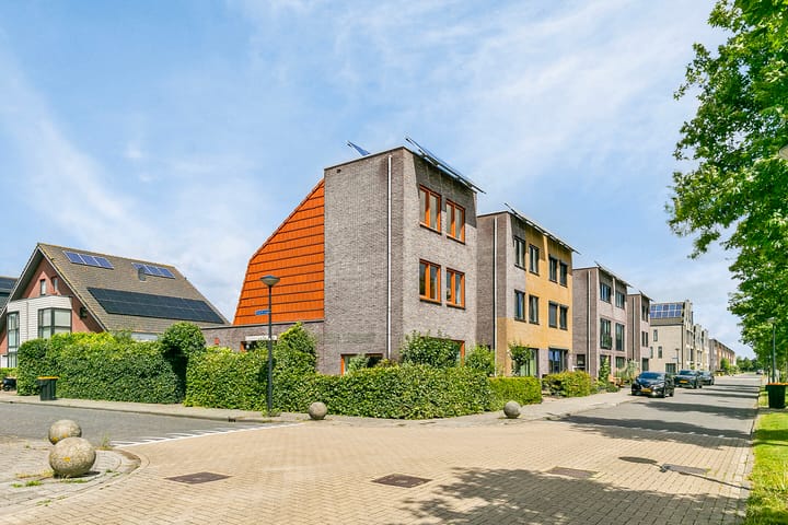 Foto 39 van Zuiderlicht 123