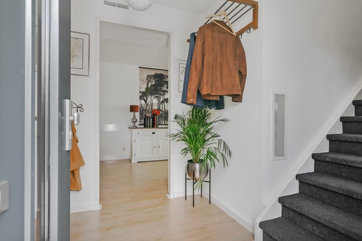 Foto 9 van Zuiderlicht 123