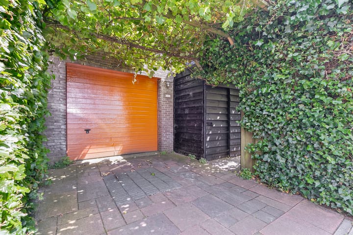 Foto 36 van Zuiderlicht 123