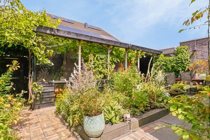 Foto 6 van Zuiderlicht 123