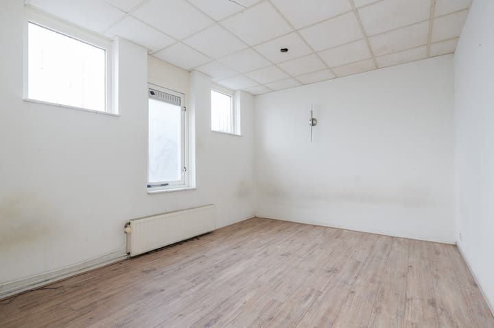 Foto 6 van Paletsingel 100