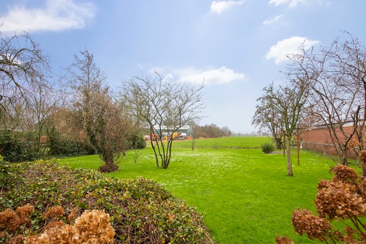 Foto 49 van De Dijk 8