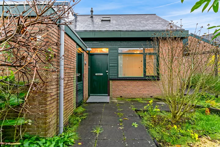 Foto 4 van Boekweitkamp 7