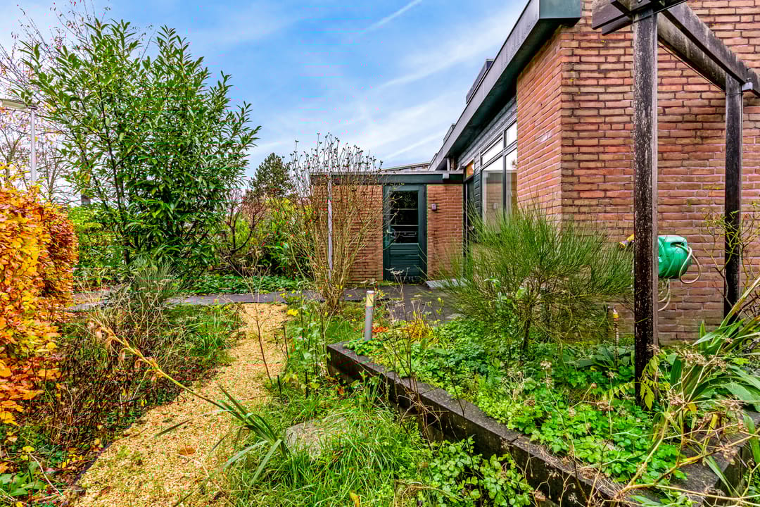 Foto 16 van Boekweitkamp 7