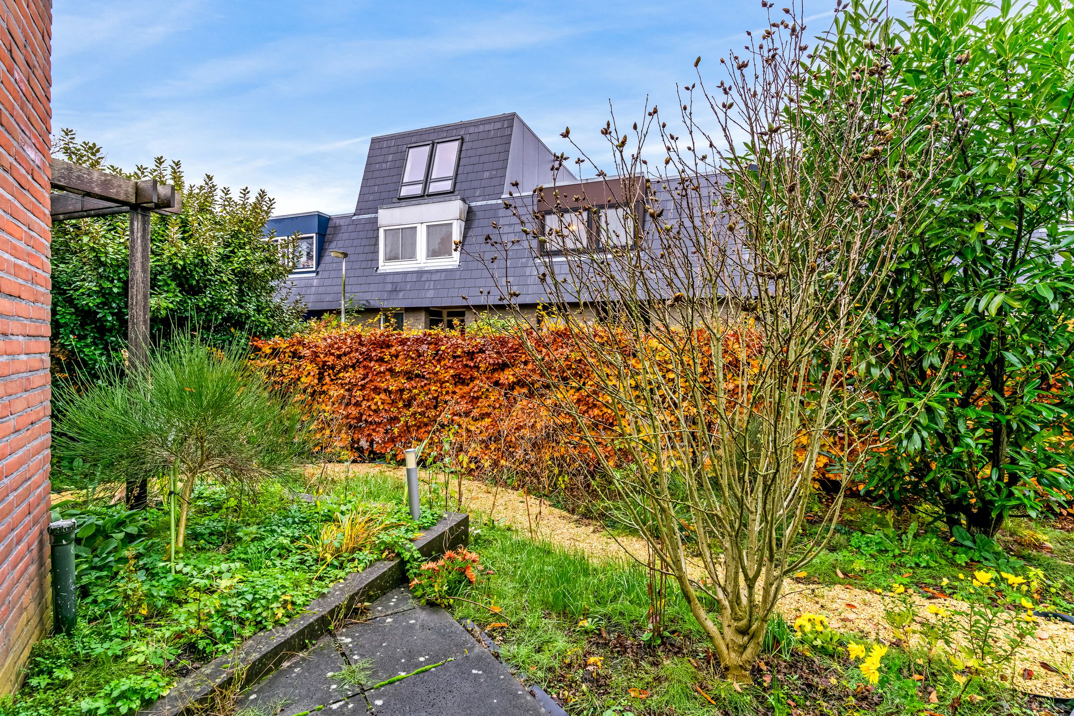 Foto 18 van Boekweitkamp 7