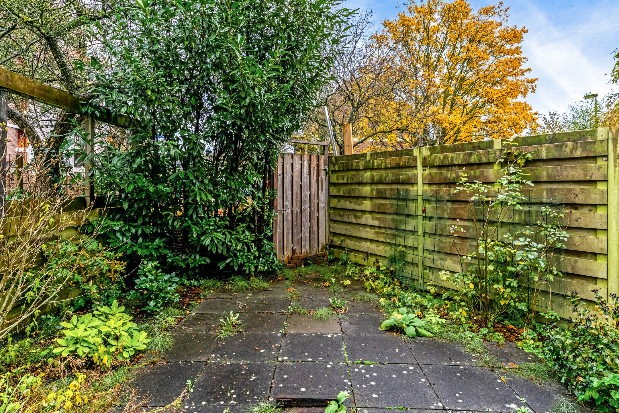 Foto 30 van Boekweitkamp 7