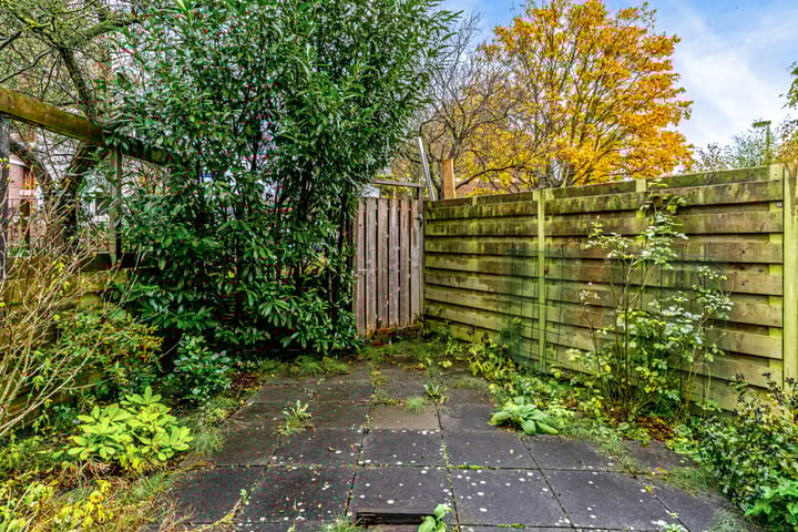 Foto 30 van Boekweitkamp 7