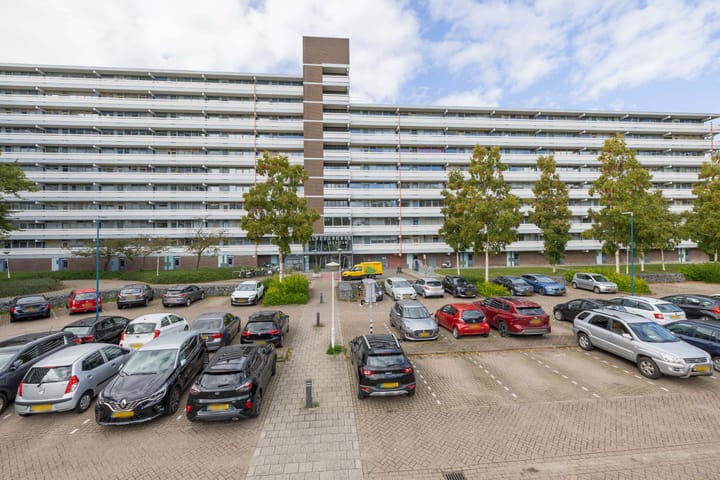 Foto 4 van Belvédèrebos 209