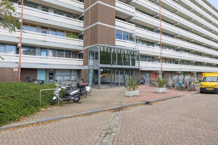 Foto 5 van Belvédèrebos 209