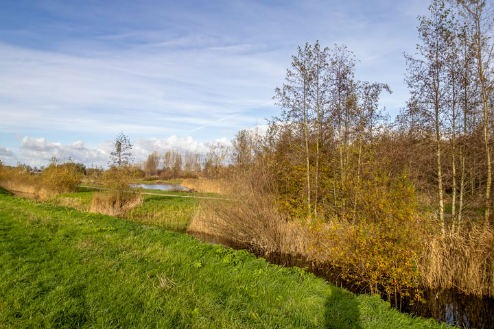 Bekijk foto 34 van Hazerswoudestraat 344