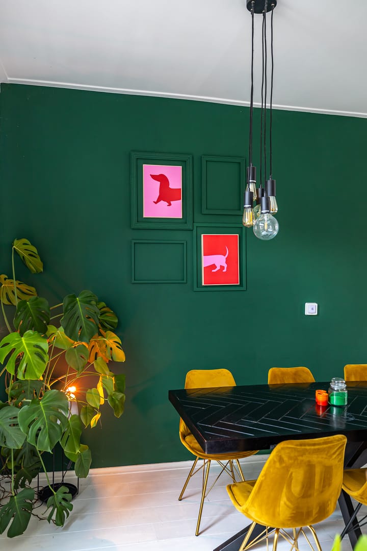 Foto 12 van Wester Badstraat 8