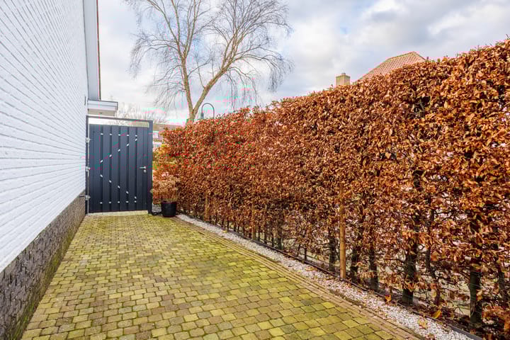 Foto 33 van Berkenpark 48