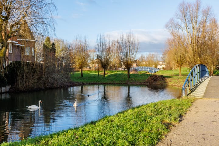 Foto 47 van Berkenpark 48